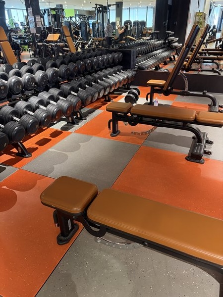 フィットイージーのフリーウェイトエリア・ダンベルラックとベンチ