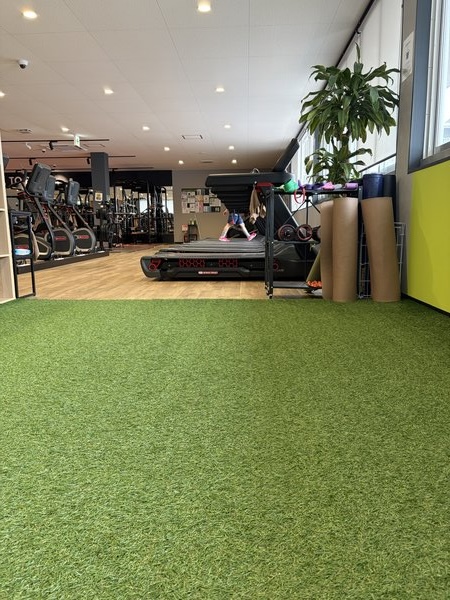 フィットイージーの有酸素エリア・ランニングマシン8台以上が並ぶ